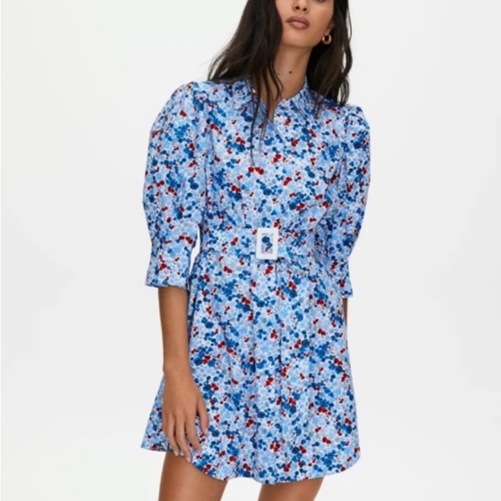 ARITZIA Little Moon Floral Puff Sleeve Mini Dress